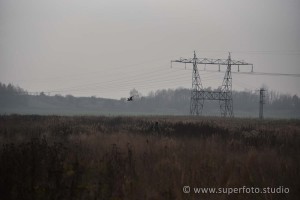 DSC 3086104
