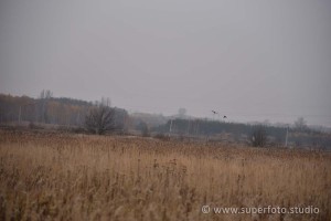 DSC 3100114