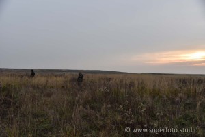 DSC 3117129