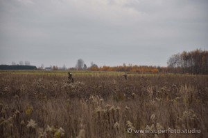 DSC 3177168