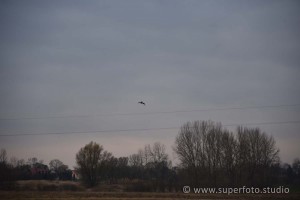 DSC 3189179