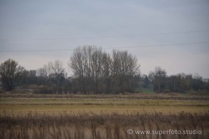 DSC 3190180
