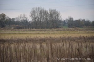 DSC 3191181