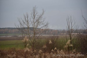 DSC 3210196